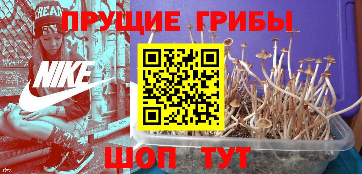 Псилоцибиновые грибы мицелий  Вход с VPN  Лобня 